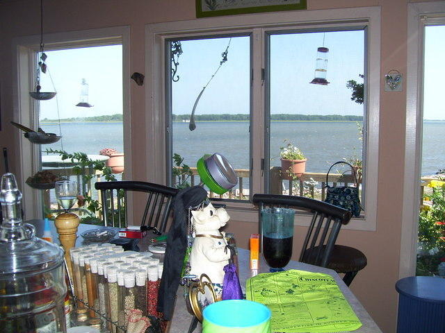 Chincoteague 2009