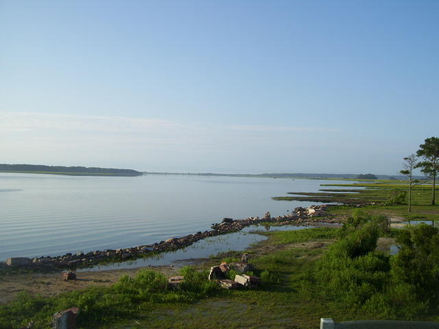 Chincoteague 2009