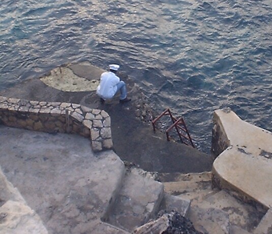 Catching dinner at HSH