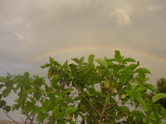 Apr2 rainbow5 over the noni