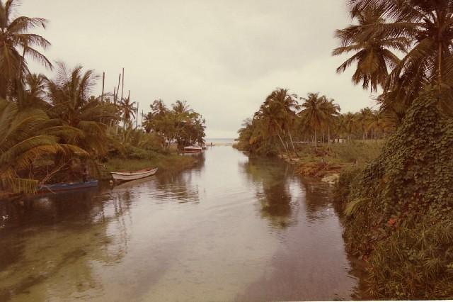 old negril river