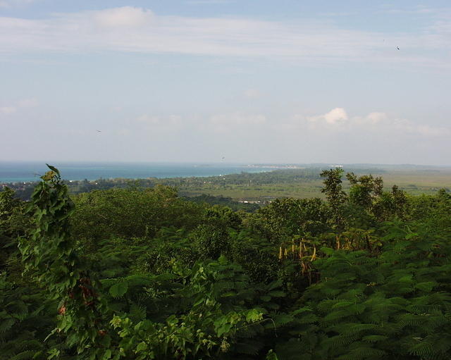 Another view from the Great House, overlooking Negril