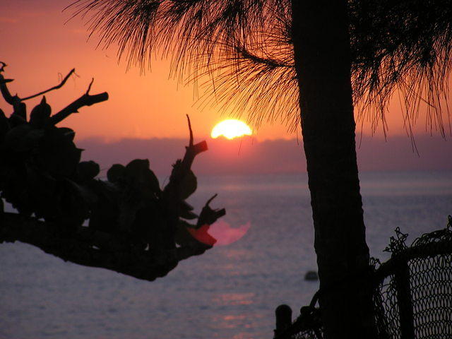 From a different angle/zoom