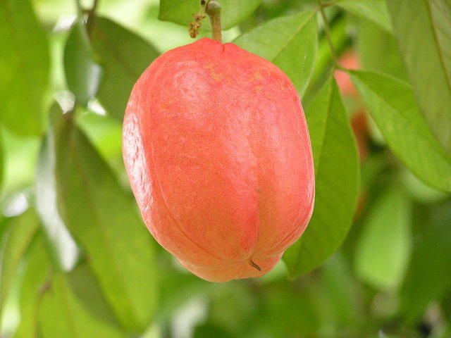 ACKEE
