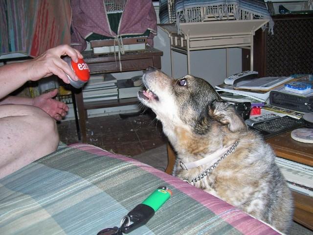 boomer and easy button