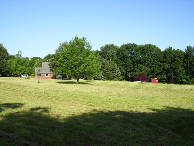 field