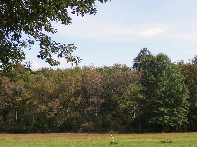 Pipersville in September