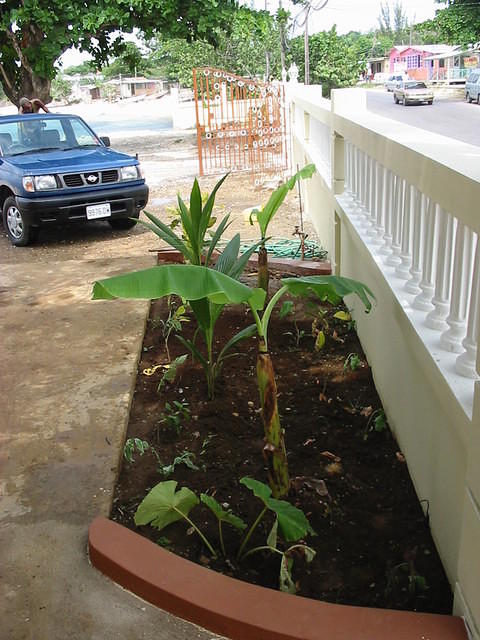 Planting of the flower beds begins courtesy of Easy Rock Sue