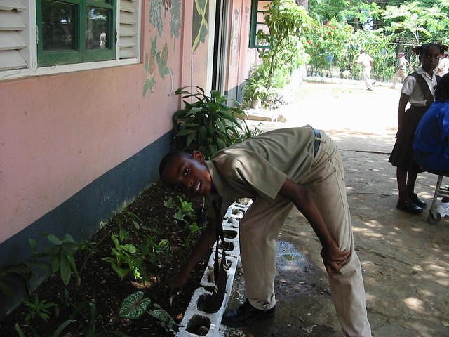 lanting was also part of the project