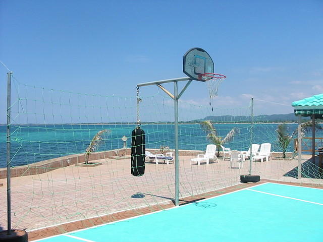 you can even play basketball after you email & just look at our new view!