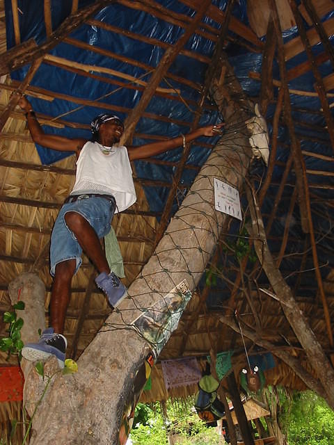 22 Pac tree climbing inside the bar!