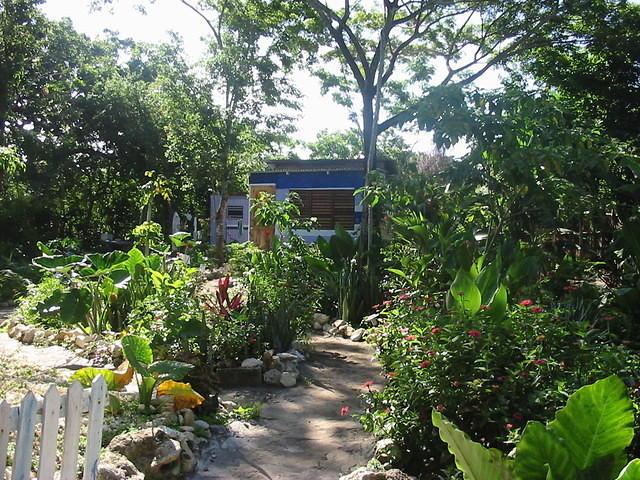 2 years on and the Half House now has 2 living rooms, kitchen & Bathroom, patio, a water pipe & electricity!