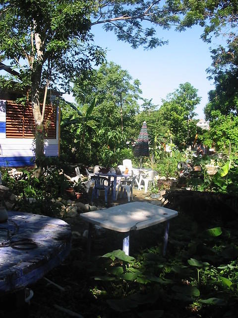 The 'yard' from the back