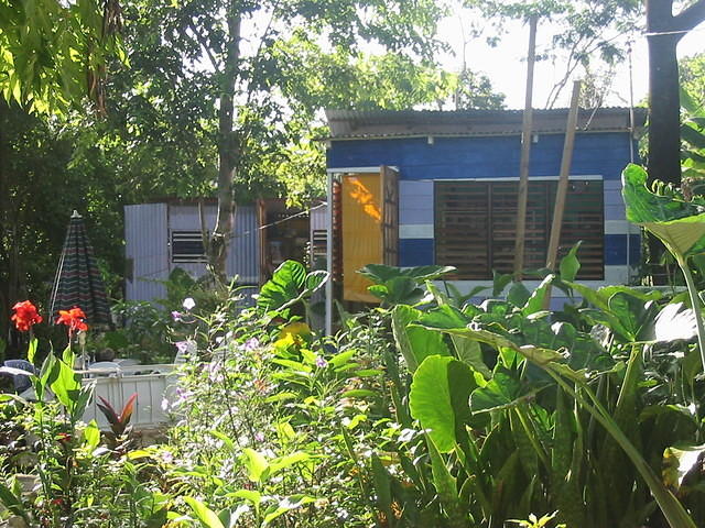 Early morning is so beautiful