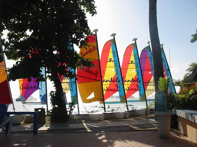 Sandals Windsurfers
