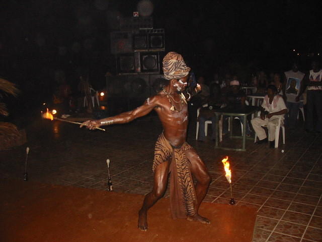 Jungle King struts his stuff