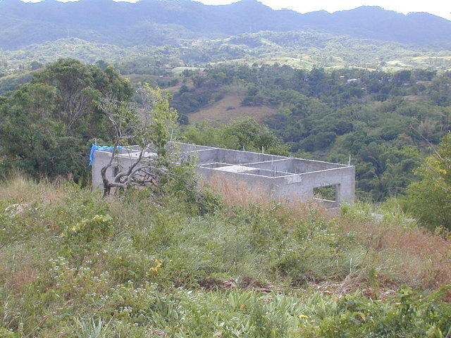 Charlie & Tina's house - roof soon come