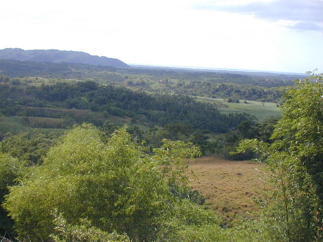 The view from the porch