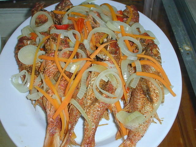 Red Snapper