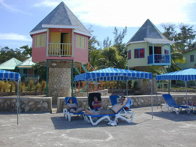 Hanging in the shade @ Samsara