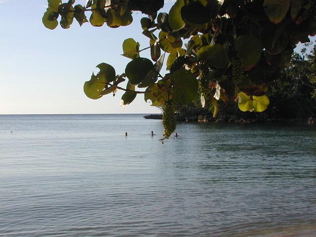 Swimming @ Half Moon Beach