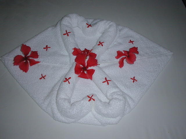 Towel sculpture on our bed