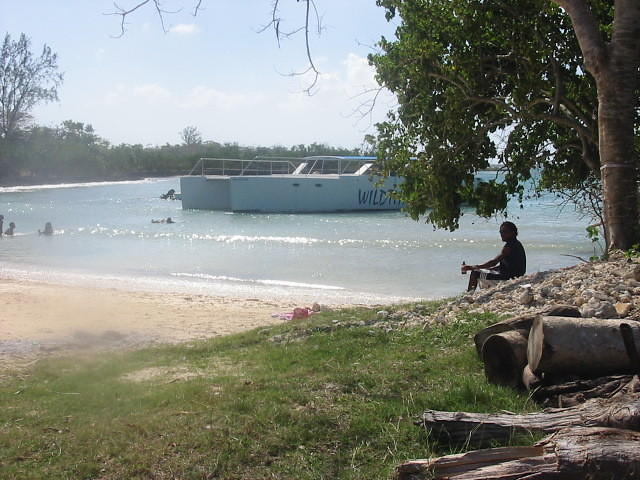 Wild Thing guests are here for lunch