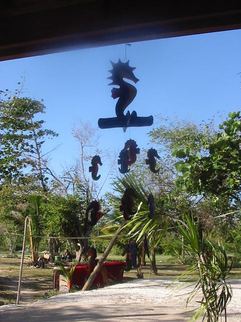 They have some real unusual gifts on sale too