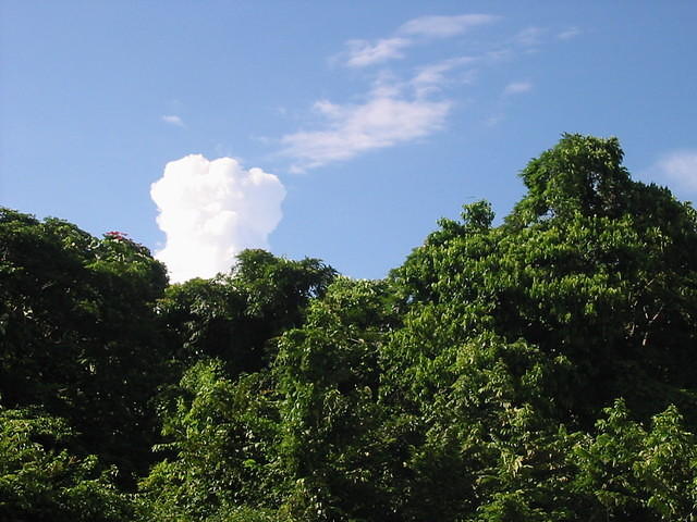 Such rich greenery and beautiful skies too