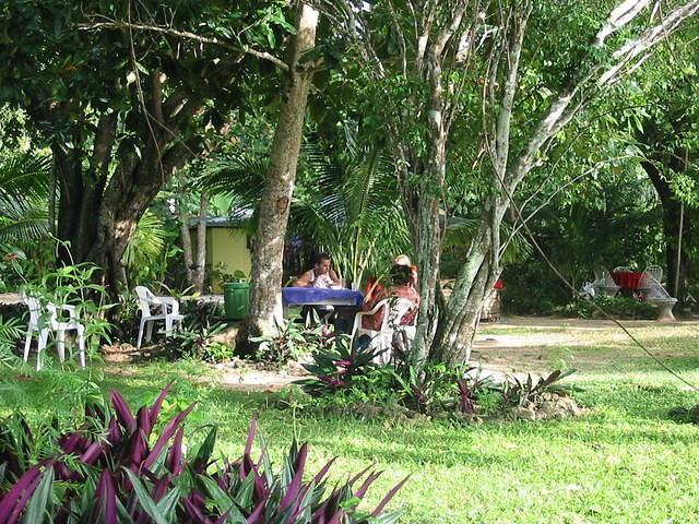 The gardens are really wild & lovely