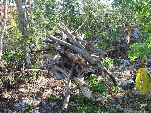 More firewood courtesy of Ivan