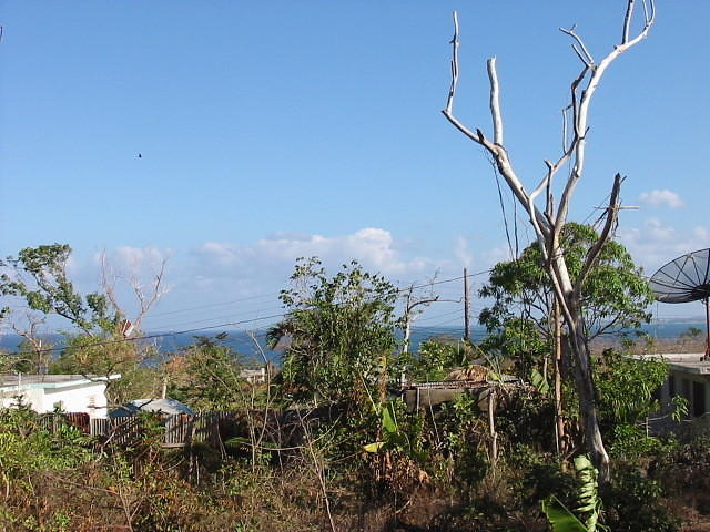 Our view after Ivan 'pruned' all the trees