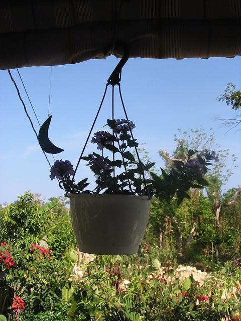 A momento from Half Moon Beach