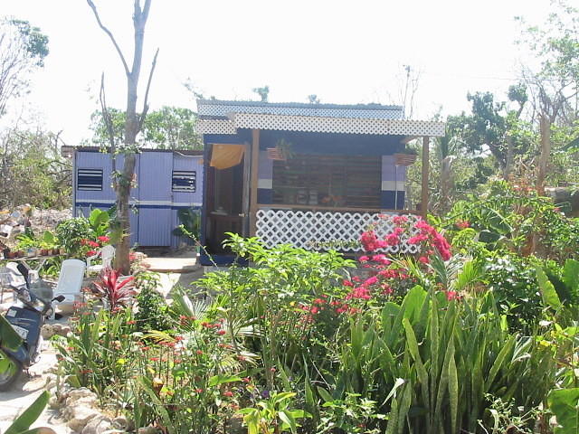 The Half House Verandah is finished with a lovely ceramic floor (courtesy of Mary's Bay broken tiles) and a very pretty lattice
