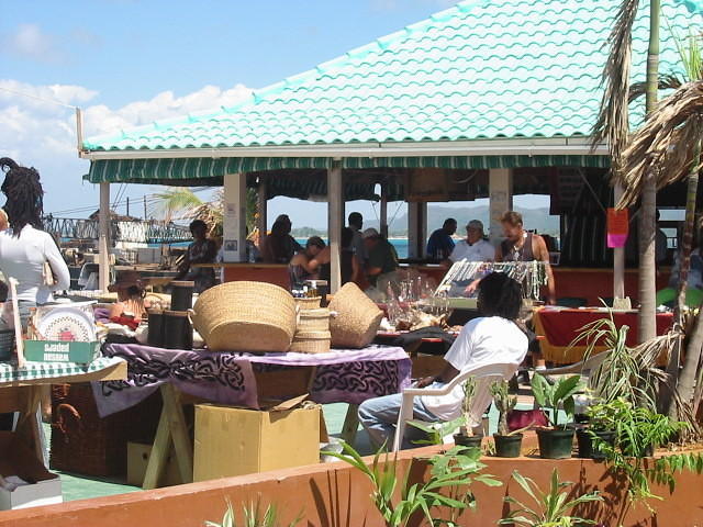 Plants & the 'Wicker Stretchers' Baskets & Lamp Shades