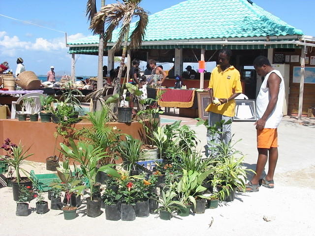 People bought so many of Michael's plants