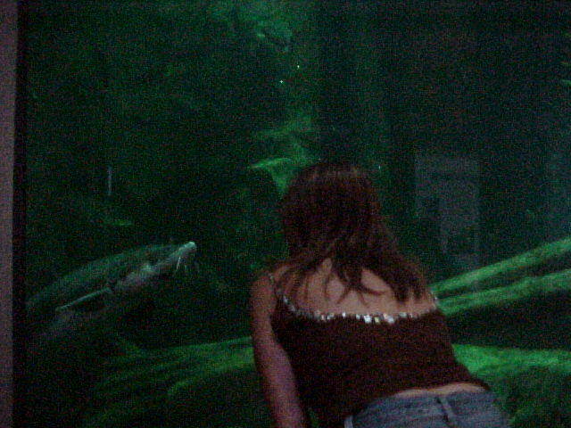 Misty at the Duluth Aquarium