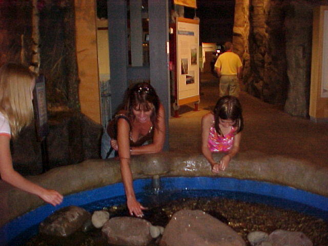 Misty at the Duluth Aquarium