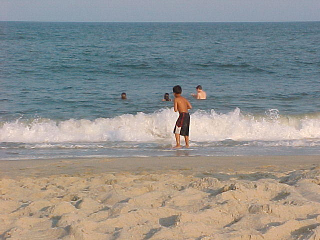 Beaches in Chincoteague with Yannick