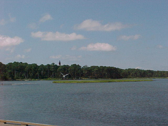 Chincoteague Boats and Birds