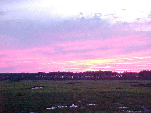 Chincoteague Sky