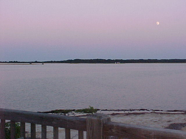 Chincoteague