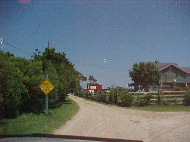 Leonard's Pony Farm in Chincoteague