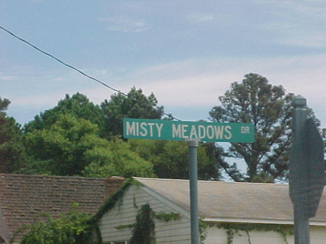 Misty Meadows