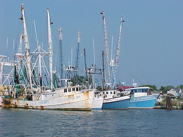 Chincoteague Harbour