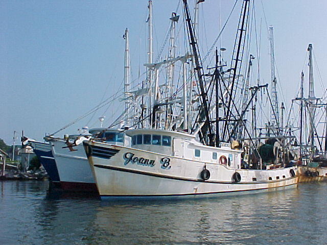 Chincoteague Harbour