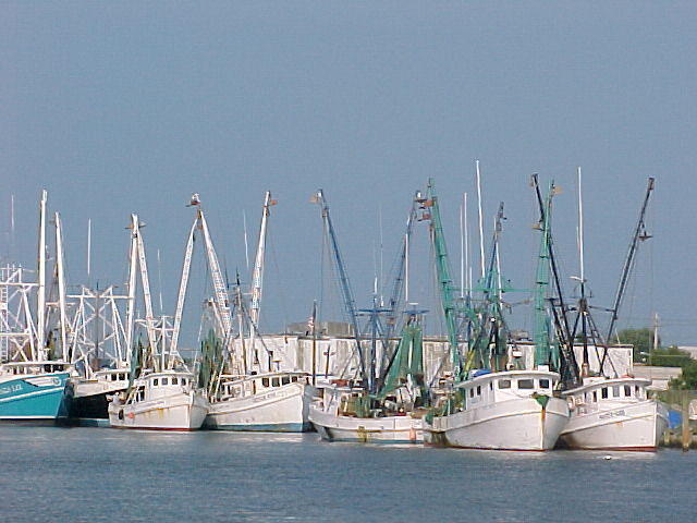 Chincoteague Harbour