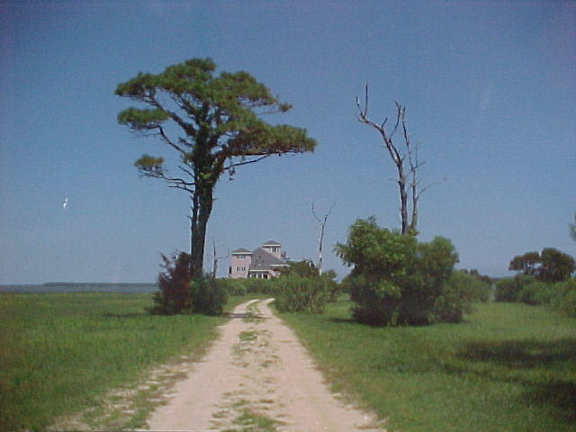 The Palace in Chincoteague