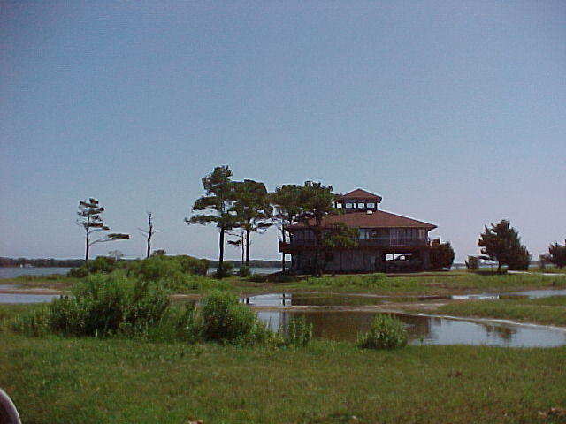 Chincoteague