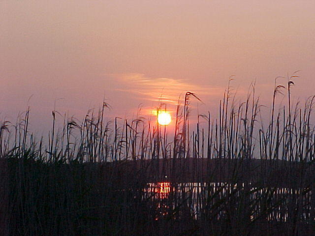 Sunset in Chincoteague from the beach